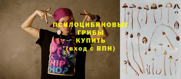 apvp Белоозёрский