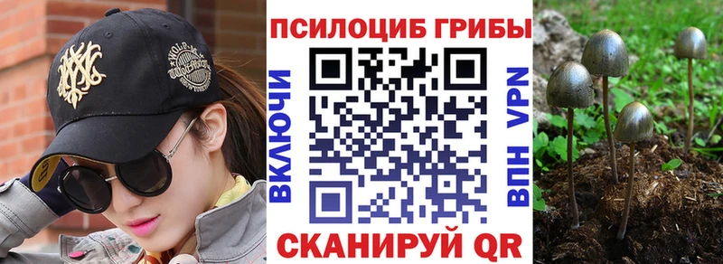 mega маркетплейс Шимановск Галлюциногенные грибы мухоморы